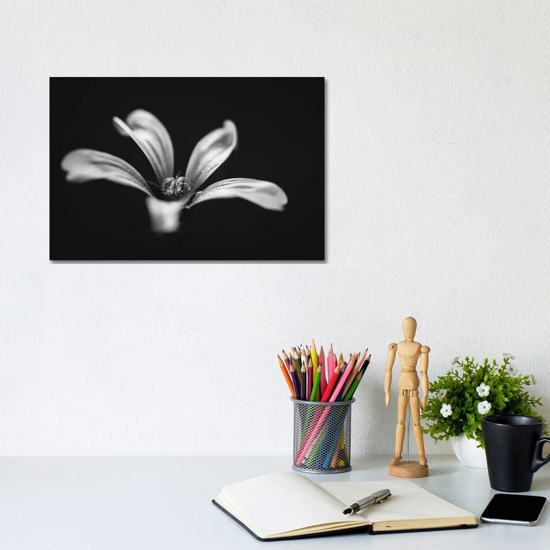 Monochrome Beautiful Flower Dark Graphite Background by Nik Rave - Wrapped Canvas Gallery-Wrapped Canvas Giclée
