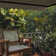 Motorized Retractable Patio Awning- Black Frame