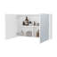 Pharmacie avec miroirs inclus et 2 portes-244806910