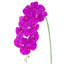 Tige de fleur d'orchidée artificielle-187504815