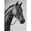 English Purebred Horse Figurine