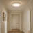Carran Acrylic LED Flush Mount-2111506487