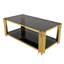 Table basse moderne rectangulaire noire, miroir-544815186