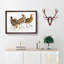 Illustration of Hens by John Edward Gray - Picture Frame Painting Print-55579830-55579826