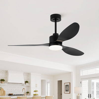 Loritta 3-Blade Ceiling Fan with Light