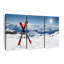 " Red Skis " 3 - Pieces-92828652