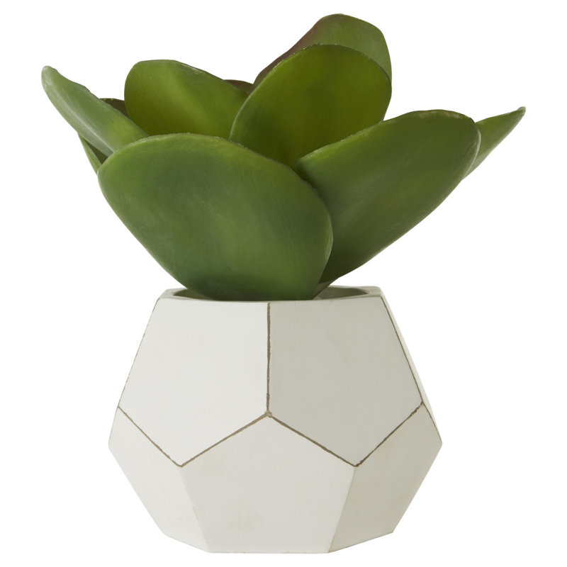 24cm Faux Succulent Plant in Concrete Pot