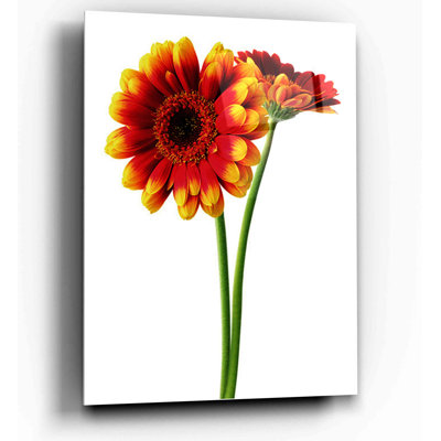Art mural orange en marguerite orange, 14 po x 20 po
