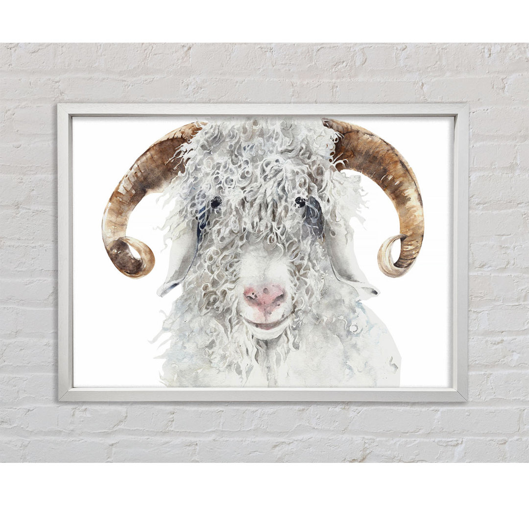 Sheep Beauty - Einzelner Bilderrahmen Kunstdrucke auf Leinwand