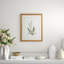Curtis Ferns III Print