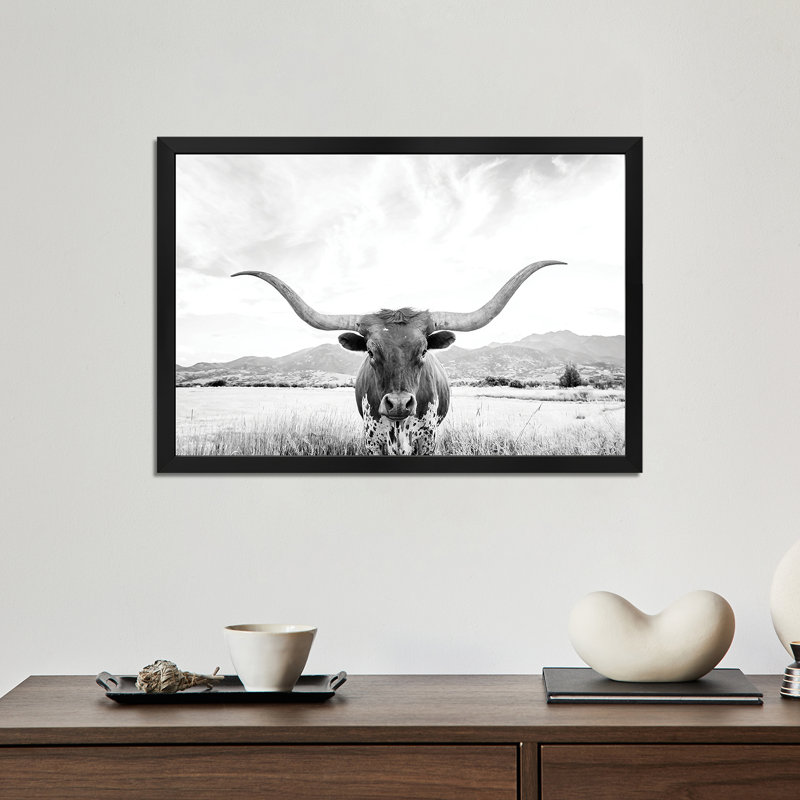 Affiches encadrées Longhorn