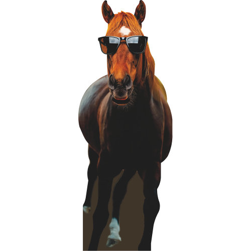SP13106 Mr Horse With Glasses Cardboard Cutout Standee Standup