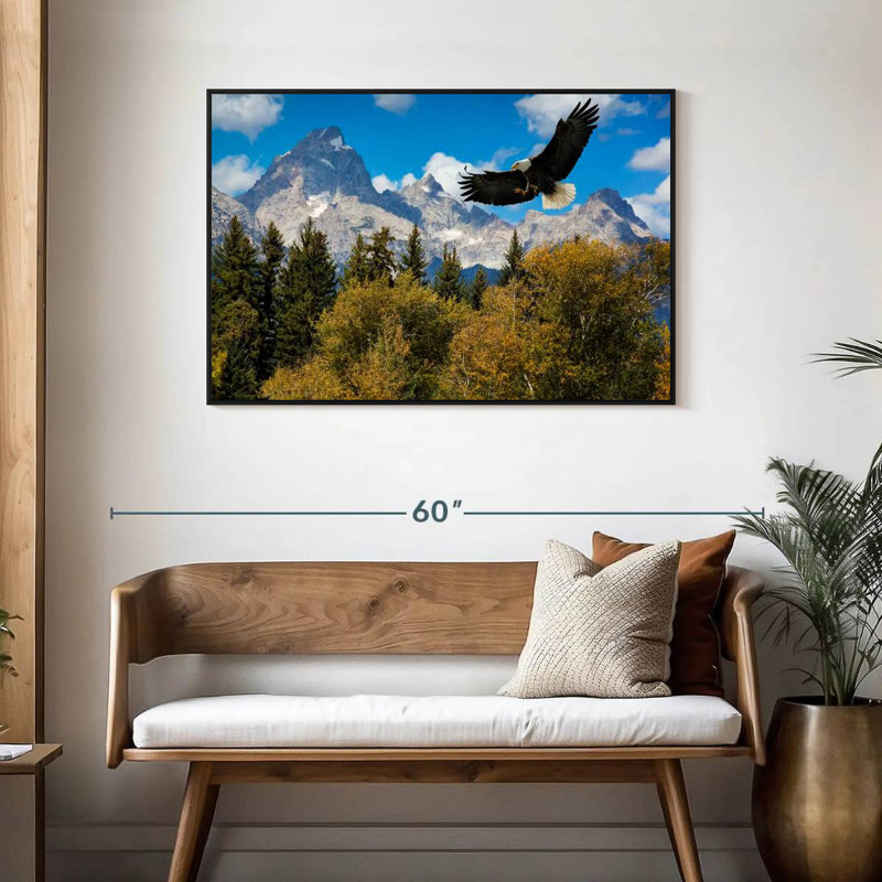 Grand Teton Eagle, Cadre flottant noir, 43 po x 29 po