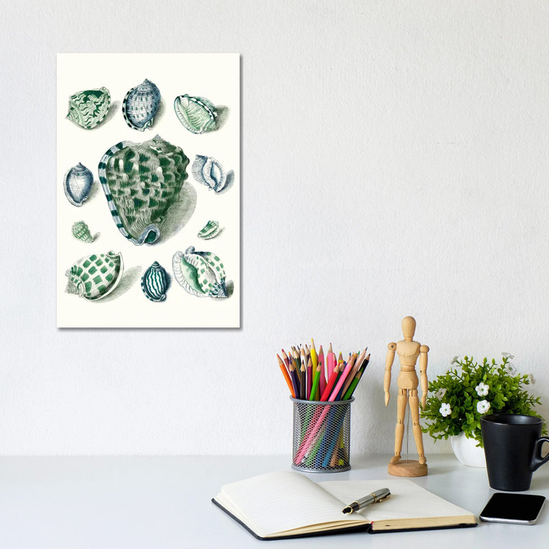 Celadon Shells III by Vision Studio - Wrapped Canvas Painting, 20.32 cm H x 30.48 cm W