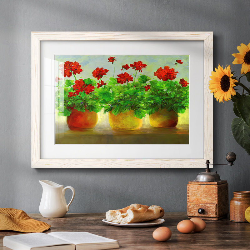Geraniums III, reproduction d'art encadrée, Blanc, H 26 po x l 38 po x P 1,5 po