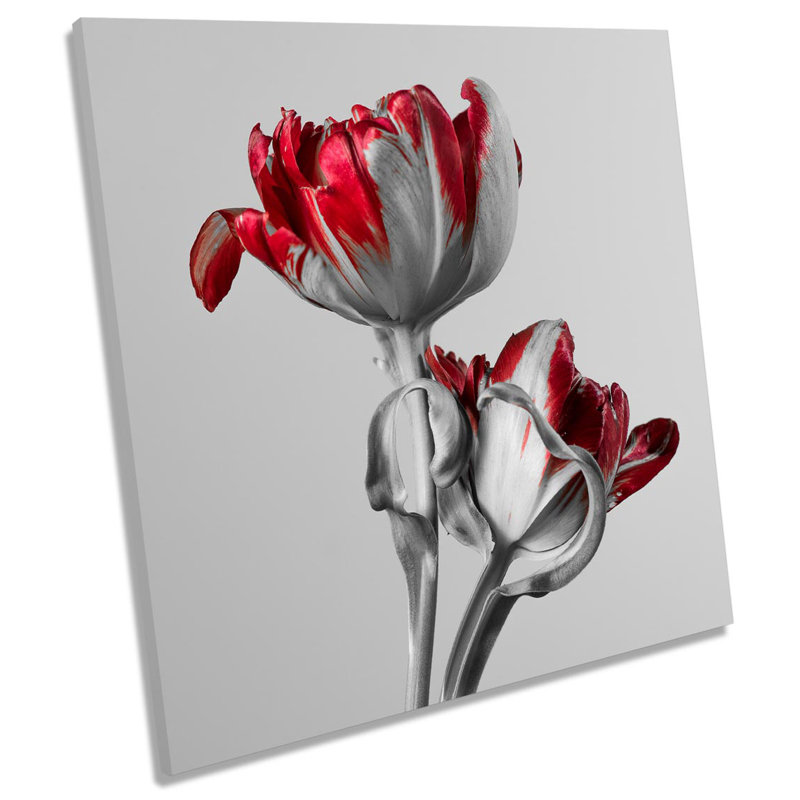 Tulip Flowers - Wrapped Canvas Print, 91.4cm H x 91.4cm W x 4cm D