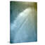 Judy Stalus - Wrapped Canvas Painting-20708708