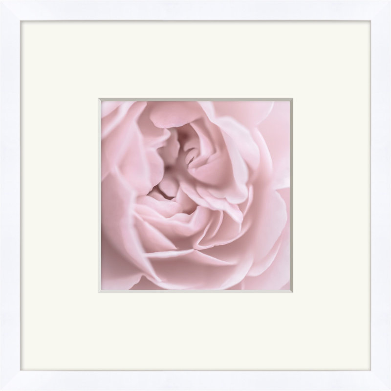 Soft Pink Print by Lillian August