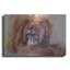 «The Daydreamer Orangutan» par Robert Campbell, art mural en métal-1528939129