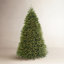 Dunhill Fir Tree with Clear Lights
