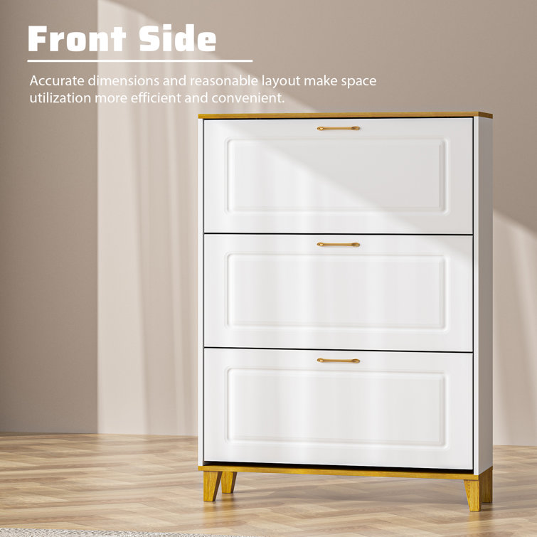 https://assets.wfcdn.com/im/30323531/resize-h755-w755%5Ecompr-r85/2562/256206733/30+Pair+Shoe+Storage+Cabinet.jpg