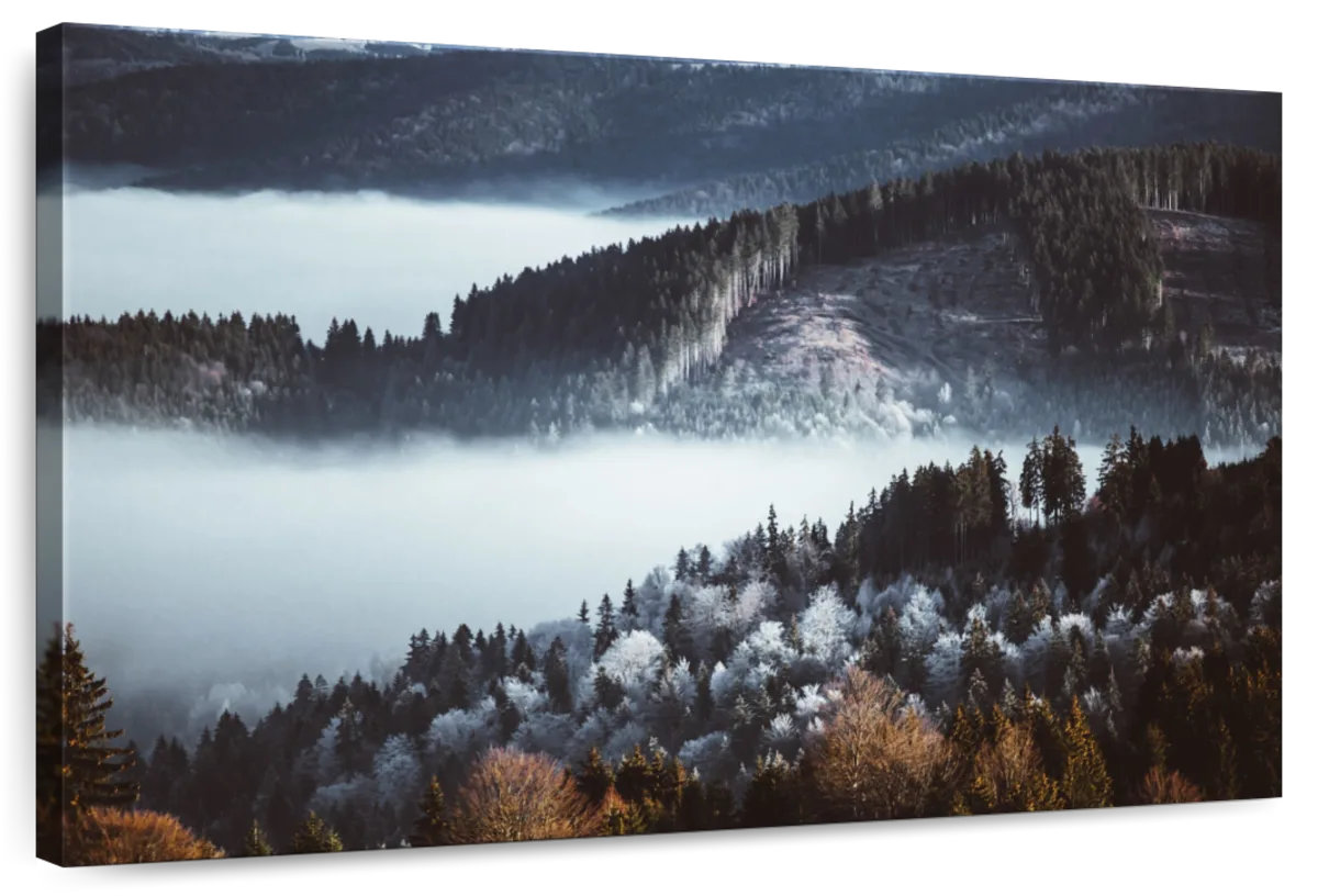 Millwood Pines Alvord Forest At Winter | Wayfair