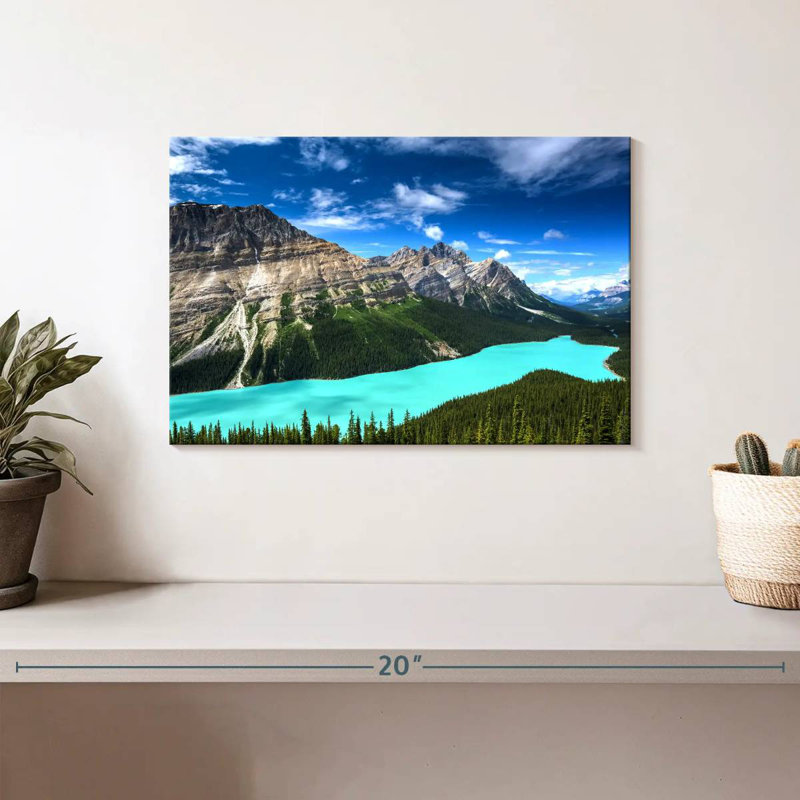 Alvord turquoise, lac Peyto, H 8 po x l 12 po