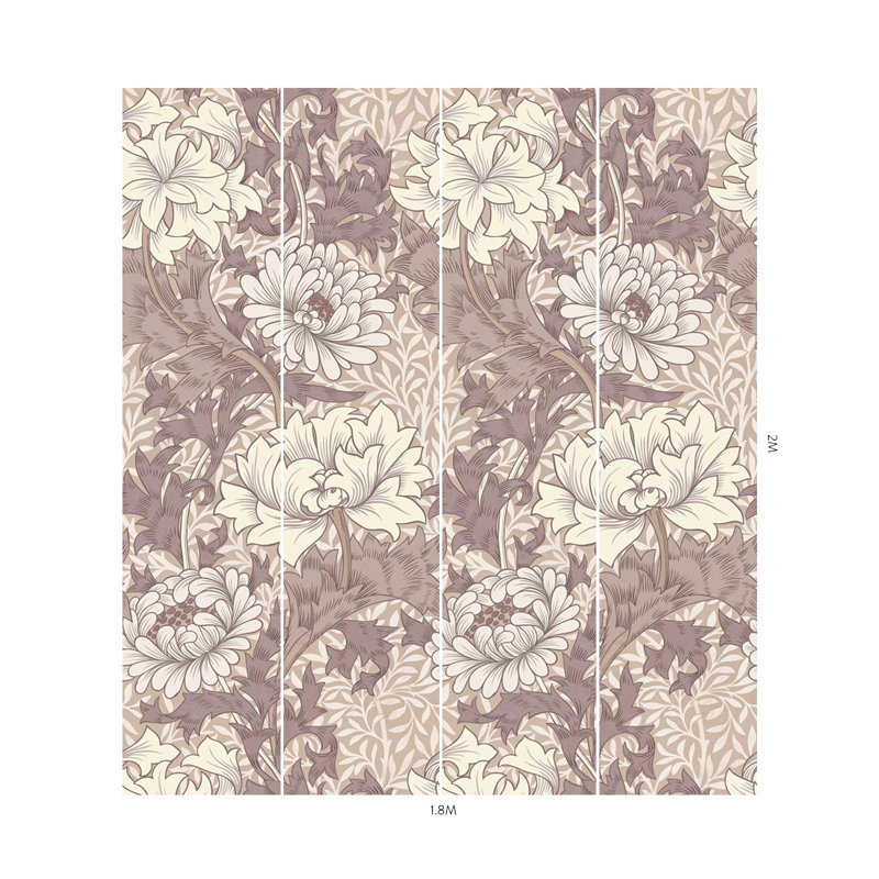 CHRYSANTHEMUM MAGNA Wallpaper - Astrantia 9'10" - full height wallpaper