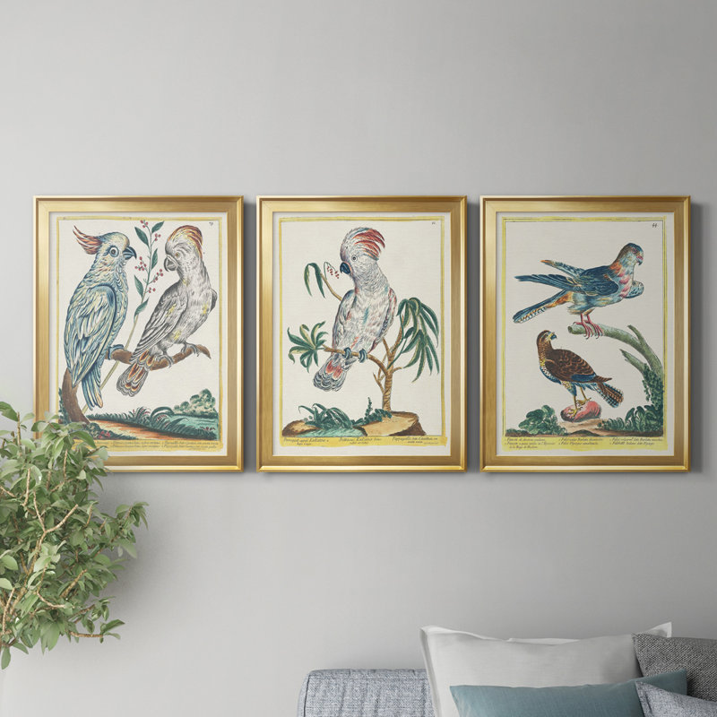 «Pastel Birds I», reproduction encadrée de qualité supérieure - prête à être accrochée, H 42,5 po x l 91,5 po x P 1 po