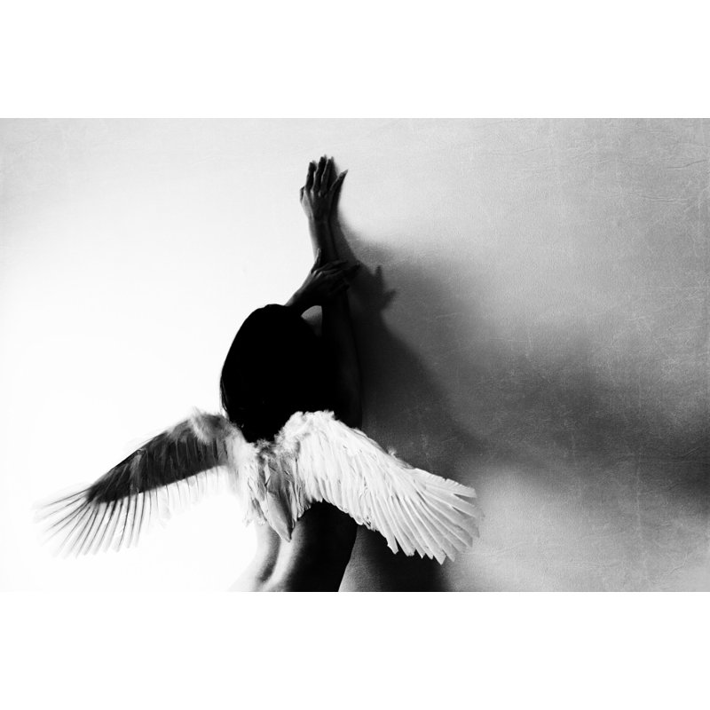 Wrapped Canvas Print, 76.2 cm H x 50.8 cm W