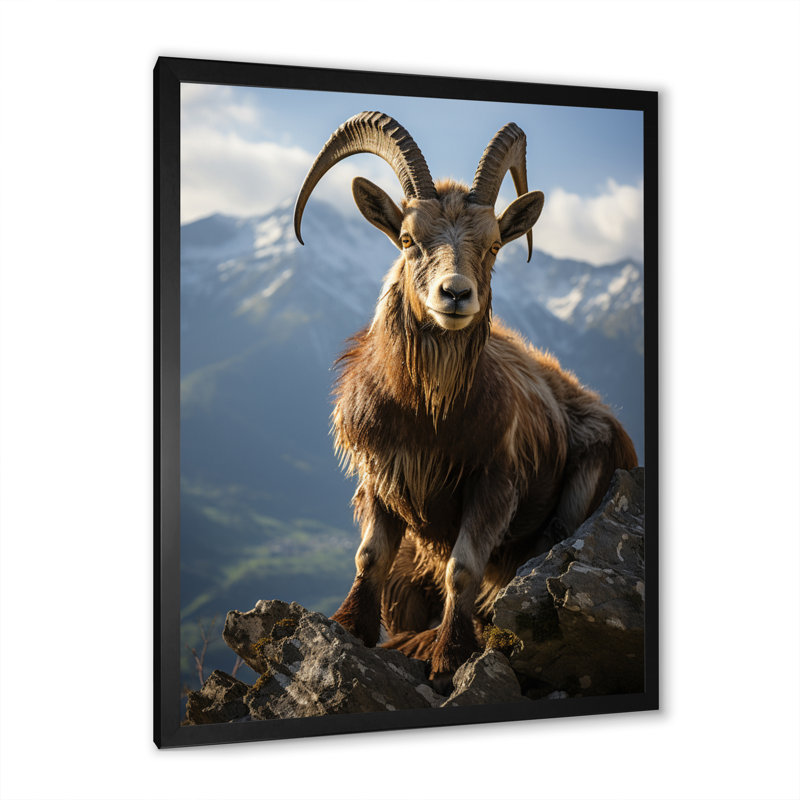 Bouquetin brun bouquetin majestueux - impression, Cadre photo noir, H 20 po x l 12 po x P 1 po