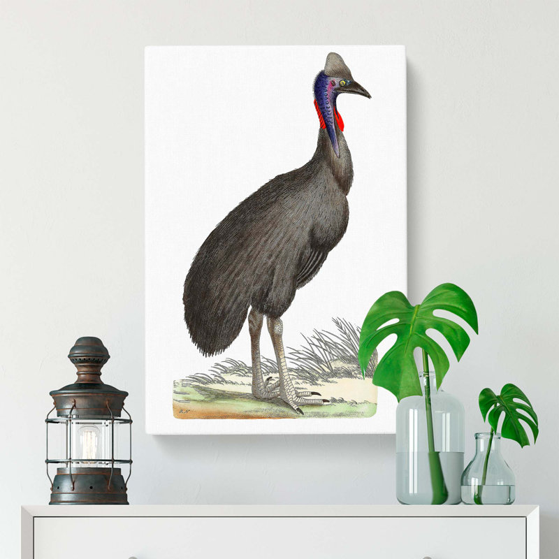 Black Cassowary Bird by George Shaw - Wrapped Canvas, 60cm H x 40cm W x 3cm D