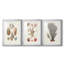 Knorr Shells & Coral I - Impression personnalisée de qualité supérieure avec cadre - 3 pièces-1603195425-1603195439