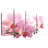 Harnek Dreamy Violet Orchids-108900620
