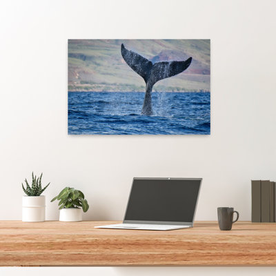Art contemporain, art contemporain, baleine
