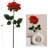 20" Open Rose Stem - 4 Pack