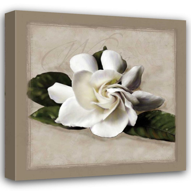 «Red Barrel Studio® Pahl, Janel», reproduction d'art sur toile tendue: Botanical Gardenia PLP145, H 15 po x l 15 po