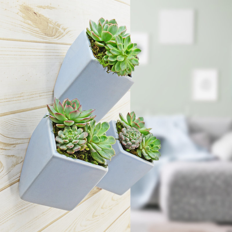 Pot de fleurs mural cube Eakin, Ciel