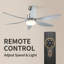 Ceiling Fan