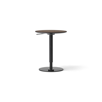 Branch Solid Wood End Table