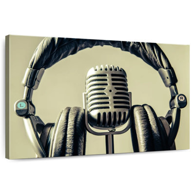 Abarca Microphone And Headphone