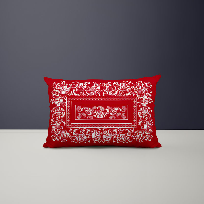 Paisley Outdoor Reversible Throw Pillow, Red