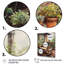 «Rohen Cottage Terrasse Garden II», reproduction sur toile-88525457-88525458