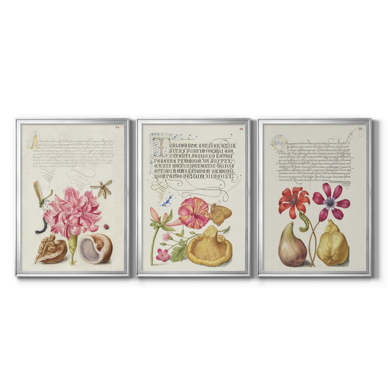 Hoefnagel Tropical Specples VI - Toile tendue avec châssis sur mesure - 3 pièces, H 21 po x l 30 po, Argent argent