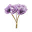 POPPY BOUQUET-291169009