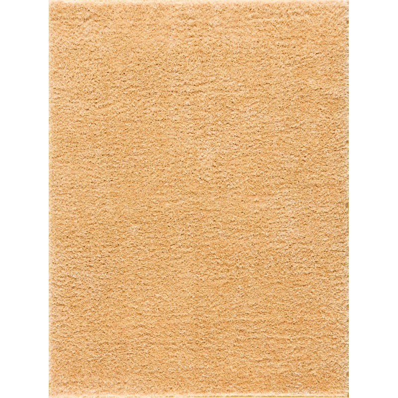 Brandale Solid Shag Orange Area Rug, Rectangle 9'3" x 12'
