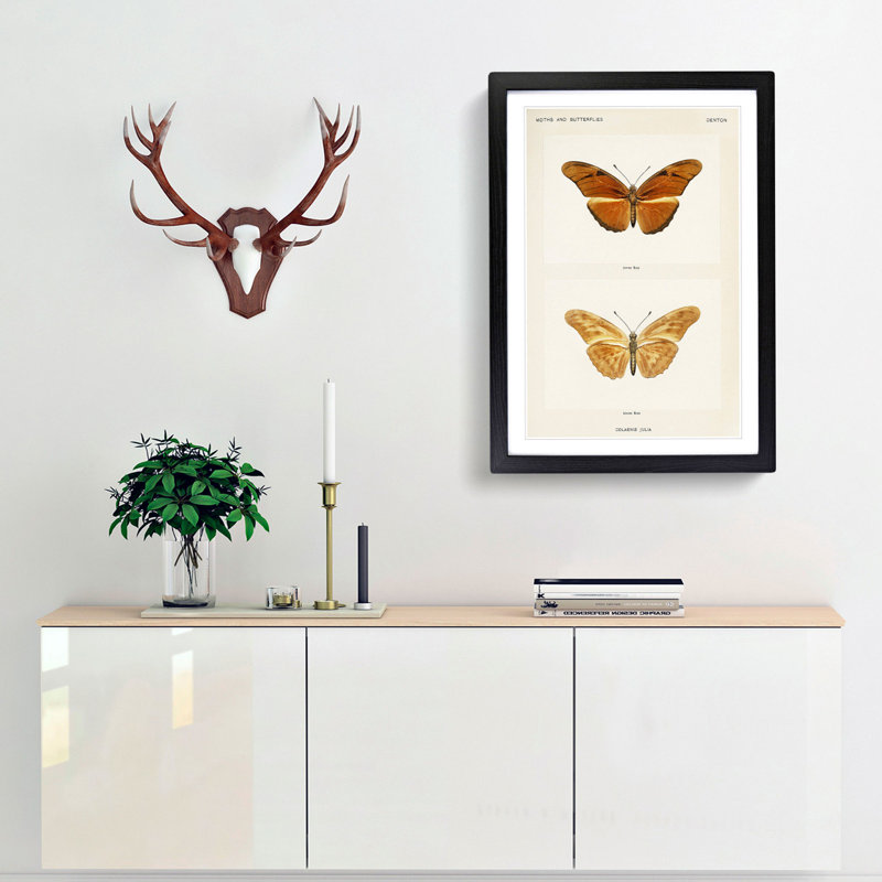 Julia Butterfly by S.F. Denton - Picture Frame Graphic Art Print, Black Framed, 36cm H x 27cm W x 2cm D
