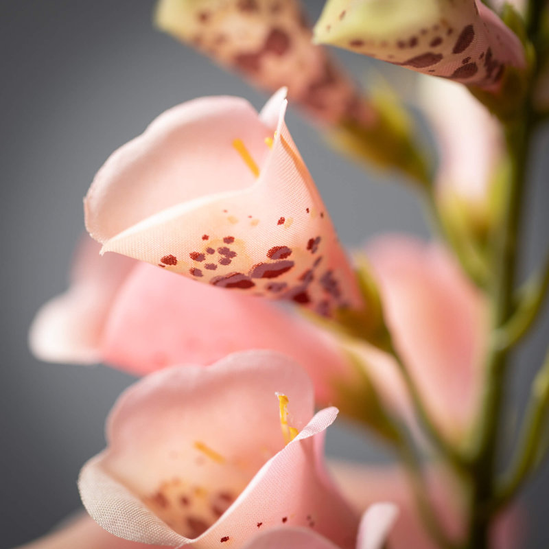 Foxglove Arrangement, Pêche