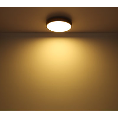 Tejal LED Flush Mount