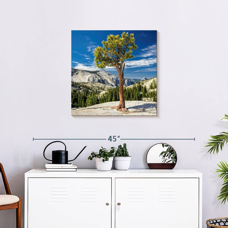 Arbre Harnek Yosemite Park, H 24 po x l 24 po